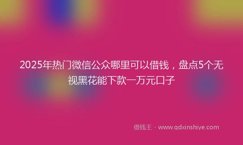 2025年热门微信公众哪里可以借钱，盘点5个无视黑花能下款一万元口子