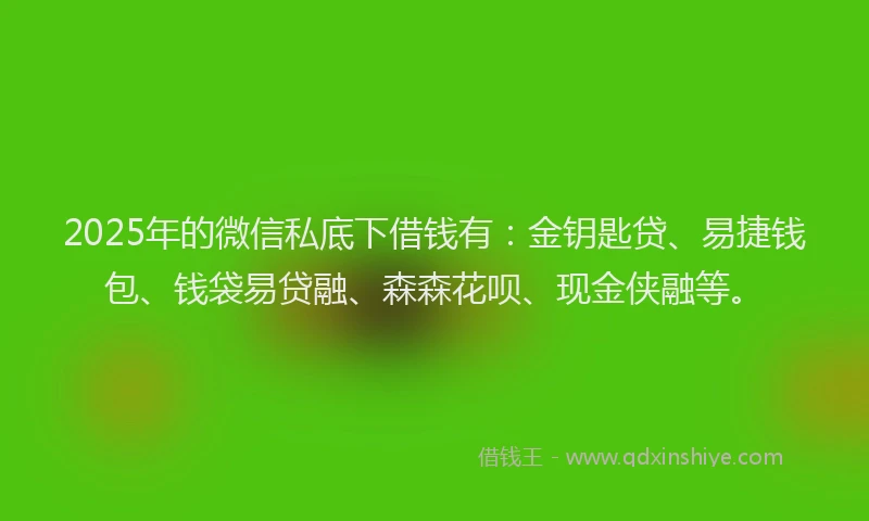 2025年的微信私底下借钱有：金钥匙贷、易捷钱包、钱袋易贷融、森森花呗、现金侠融等。
