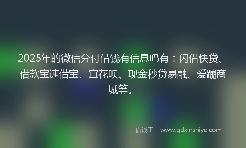 2025年的微信分付借钱有信息吗有：闪借快贷、借款宝速借宝、宜花呗、现金秒贷易融、爱蹦商城等。