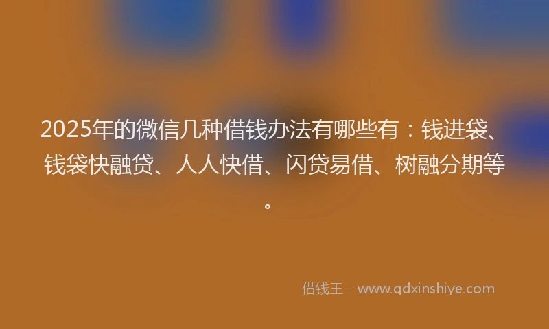 2025年的微信几种借钱办法有哪些有：钱进袋、钱袋快融贷、人人快借、闪贷易借、树融分期等。