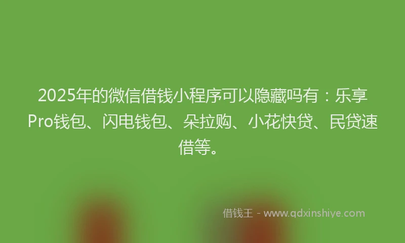 2025年的微信借钱小程序可以隐藏吗有：乐享Pro钱包、闪电钱包、朵拉购、小花快贷、民贷速借等。