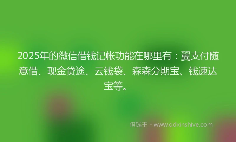 2025年的微信借钱记帐功能在哪里有：翼支付随意借、现金贷途、云钱袋、森森分期宝、钱速达宝等。
