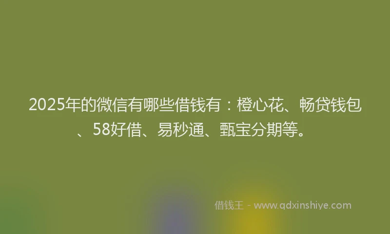 2025年的微信有哪些借钱有：橙心花、畅贷钱包、58好借、易秒通、甄宝分期等。