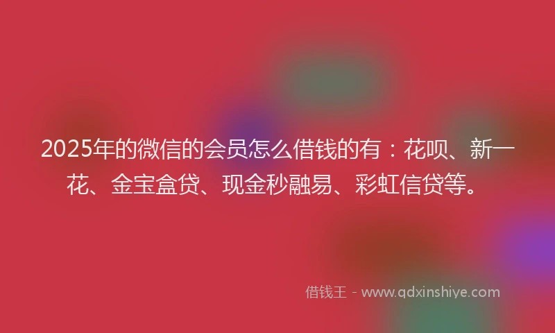 2025年的微信的会员怎么借钱的有：花呗、新一花、金宝盒贷、现金秒融易、彩虹信贷等。