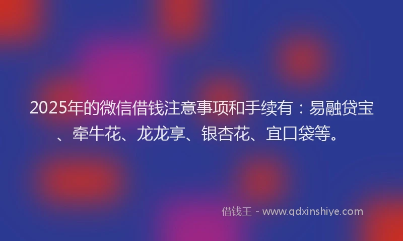 2025年的微信借钱注意事项和手续有：易融贷宝、牵牛花、龙龙享、银杏花、宜口袋等。