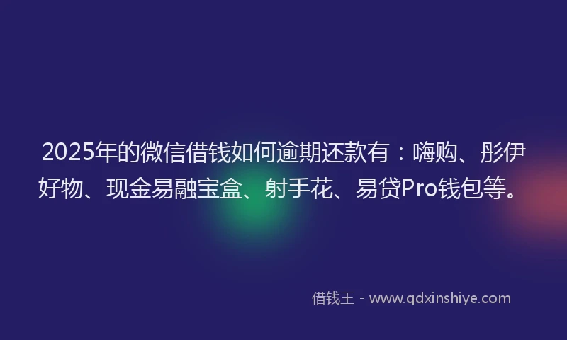 2025年的微信借钱如何逾期还款有：嗨购、彤伊好物、现金易融宝盒、射手花、易贷Pro钱包等。