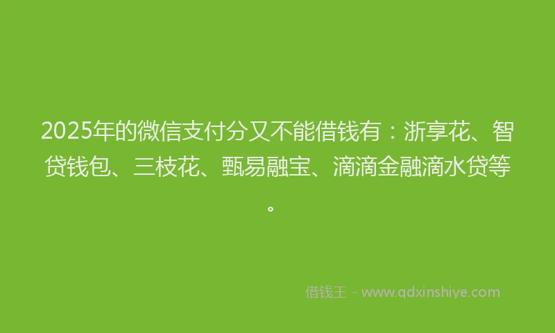 2025年的微信支付分又不能借钱有：浙享花、智贷钱包、三枝花、甄易融宝、滴滴金融滴水贷等。