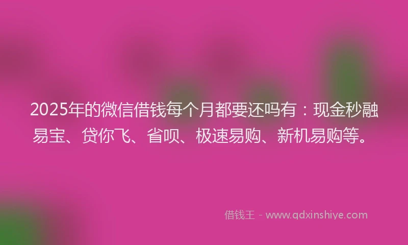 2025年的微信借钱每个月都要还吗有：现金秒融易宝、贷你飞、省呗、极速易购、新机易购等。