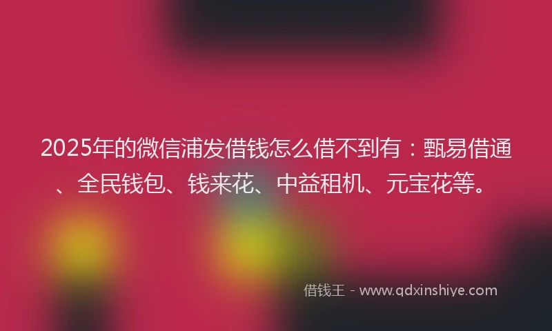 2025年的微信浦发借钱怎么借不到有：甄易借通、全民钱包、钱来花、中益租机、元宝花等。