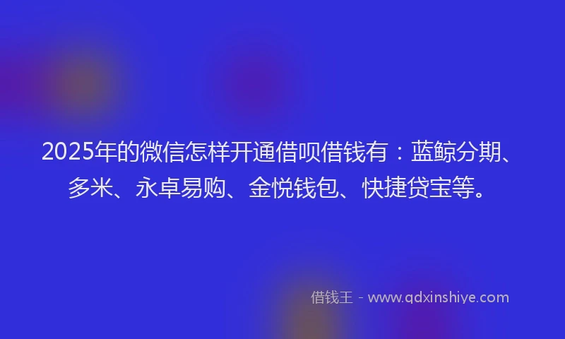 2025年的微信怎样开通借呗借钱有：蓝鲸分期、多米、永卓易购、金悦钱包、快捷贷宝等。