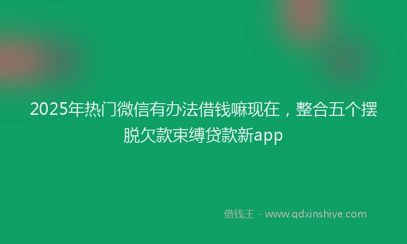 2025年热门微信有办法借钱嘛现在，整合五个摆脱欠款束缚贷款新app