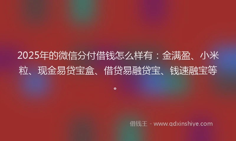 2025年的微信分付借钱怎么样有：金满盈、小米粒、现金易贷宝盒、借贷易融贷宝、钱速融宝等。