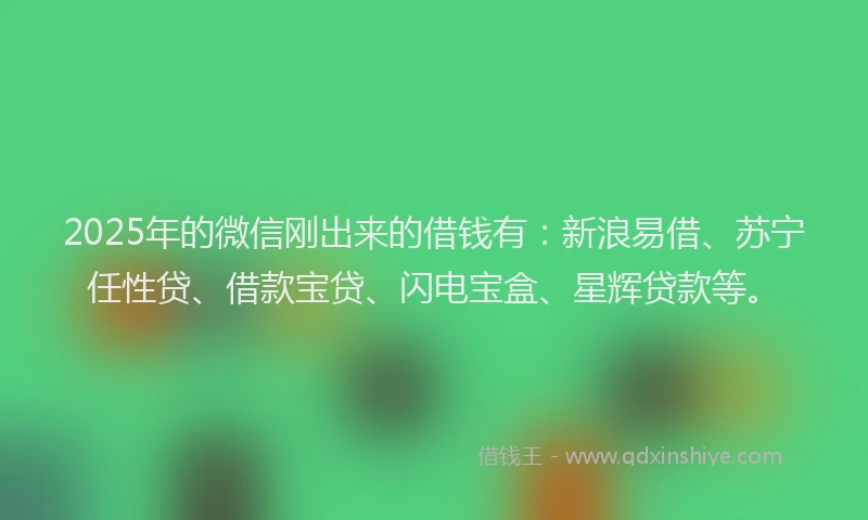 2025年的微信刚出来的借钱有：新浪易借、苏宁任性贷、借款宝贷、闪电宝盒、星辉贷款等。