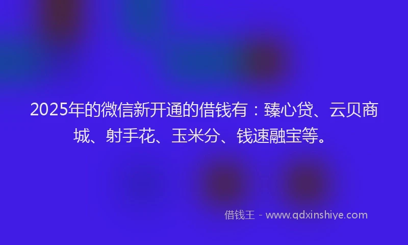 2025年的微信新开通的借钱有：臻心贷、云贝商城、射手花、玉米分、钱速融宝等。
