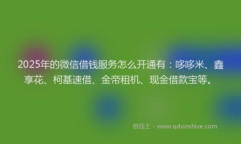2025年的微信借钱服务怎么开通有：哆哆米、鑫享花、柯基速借、金帝租机、现金借款宝等。