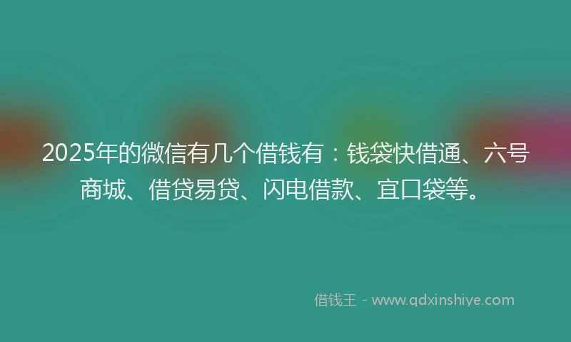 2025年的微信有几个借钱有：钱袋快借通、六号商城、借贷易贷、闪电借款、宜口袋等。