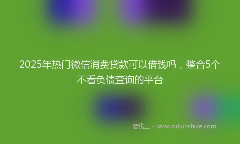 2025年热门微信消费贷款可以借钱吗，整合5个不看负债查询的平台