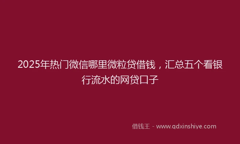 2025年热门微信哪里微粒贷借钱，汇总五个看银行流水的网贷口子
