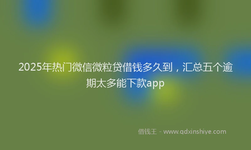 2025年热门微信微粒贷借钱多久到，汇总五个逾期太多能下款app