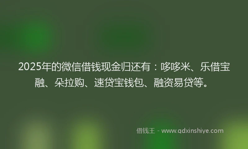 2025年的微信借钱现金归还有：哆哆米、乐借宝融、朵拉购、速贷宝钱包、融资易贷等。
