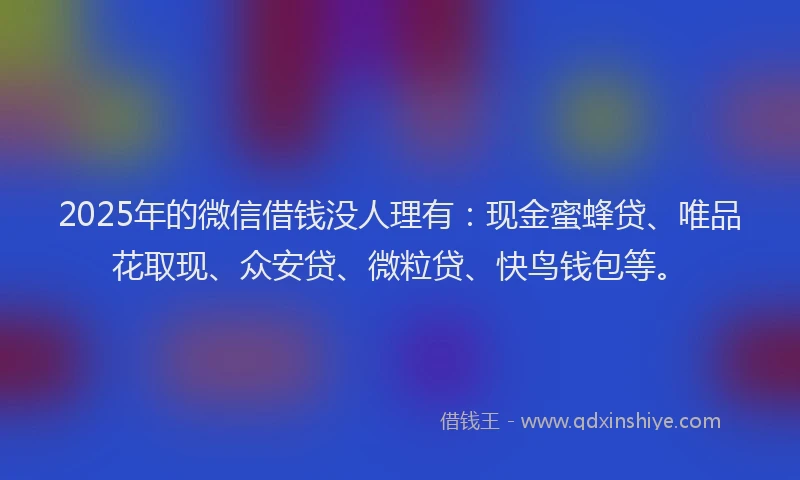 2025年的微信借钱没人理有：现金蜜蜂贷、唯品花取现、众安贷、微粒贷、快鸟钱包等。