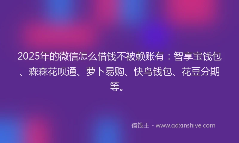 2025年的微信怎么借钱不被赖账有：智享宝钱包、森森花呗通、萝卜易购、快鸟钱包、花豆分期等。