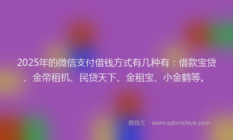2025年的微信支付借钱方式有几种有：借款宝贷、金帝租机、民贷天下、金租宝、小金鹤等。