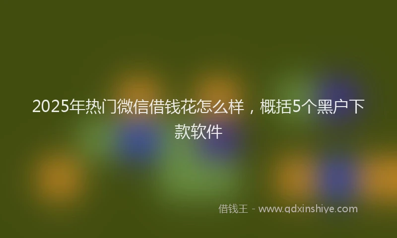 2025年热门微信借钱花怎么样，概括5个黑户下款软件