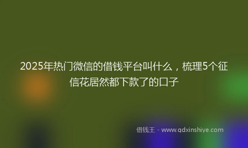 2025年热门微信的借钱平台叫什么，梳理5个征信花居然都下款了的口子