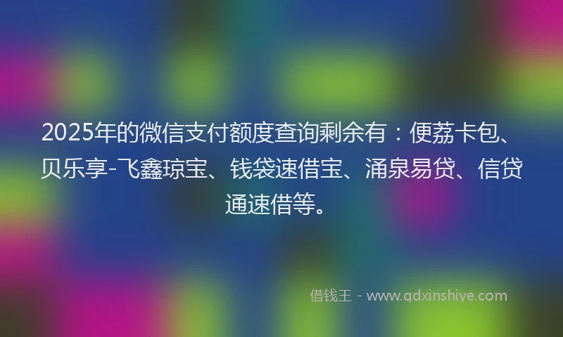 2025年的微信支付额度查询剩余有：便荔卡包、贝乐享-飞鑫琼宝、钱袋速借宝、涌泉易贷、信贷通速借等。