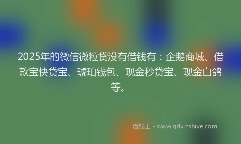 2025年的微信微粒贷没有借钱有：企鹅商城、借款宝快贷宝、琥珀钱包、现金秒贷宝、现金白鸽等。