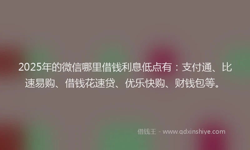 2025年的微信哪里借钱利息低点有：支付通、比速易购、借钱花速贷、优乐快购、财钱包等。