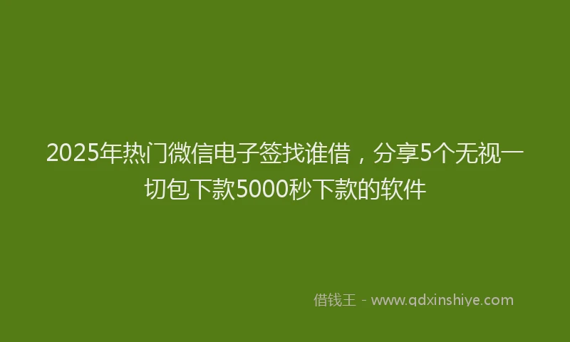 2025年热门微信电子签找谁借，分享5个无视一切包下款5000秒下款的软件