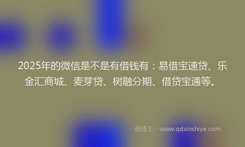 2025年的微信是不是有借钱有：易借宝速贷、乐金汇商城、麦芽贷、树融分期、借贷宝通等。