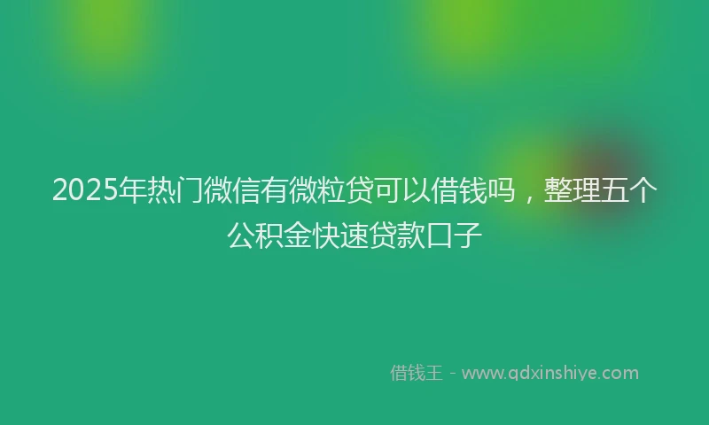 2025年热门微信有微粒贷可以借钱吗，整理五个公积金快速贷款口子