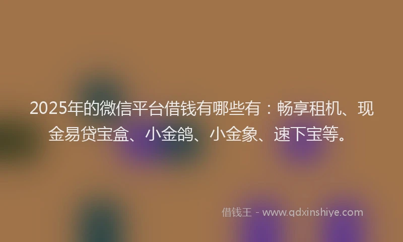 2025年的微信平台借钱有哪些有：畅享租机、现金易贷宝盒、小金鸽、小金象、速下宝等。