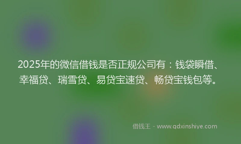 2025年的微信借钱是否正规公司有：钱袋瞬借、幸福贷、瑞雪贷、易贷宝速贷、畅贷宝钱包等。
