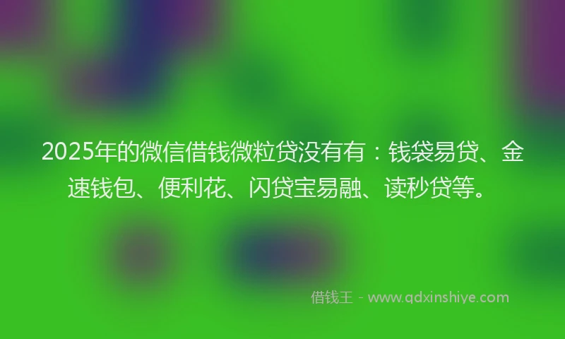 2025年的微信借钱微粒贷没有有：钱袋易贷、金速钱包、便利花、闪贷宝易融、读秒贷等。