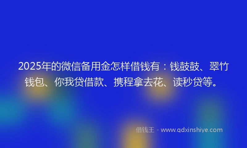 2025年的微信备用金怎样借钱有：钱鼓鼓、翠竹钱包、你我贷借款、携程拿去花、读秒贷等。