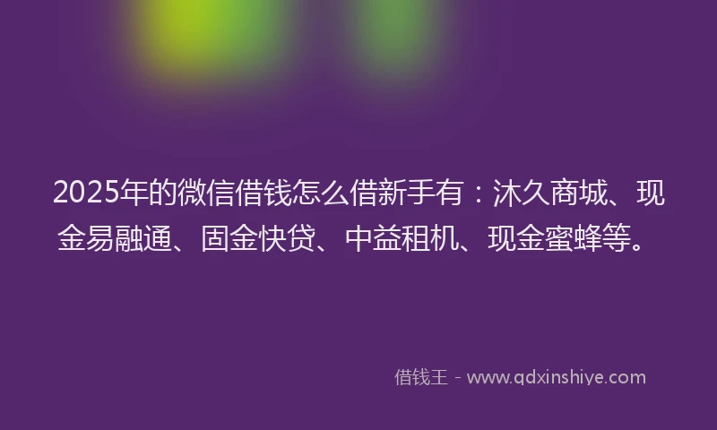 2025年的微信借钱怎么借新手有：沐久商城、现金易融通、固金快贷、中益租机、现金蜜蜂等。