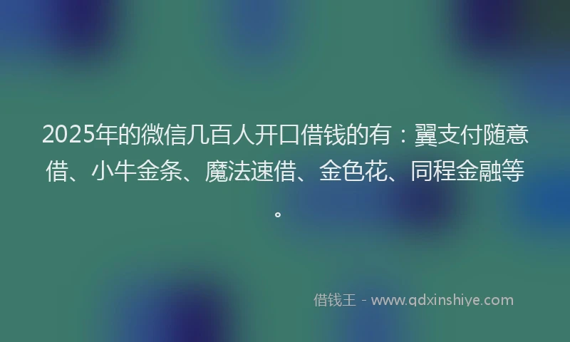 2025年的微信几百人开口借钱的有：翼支付随意借、小牛金条、魔法速借、金色花、同程金融等。