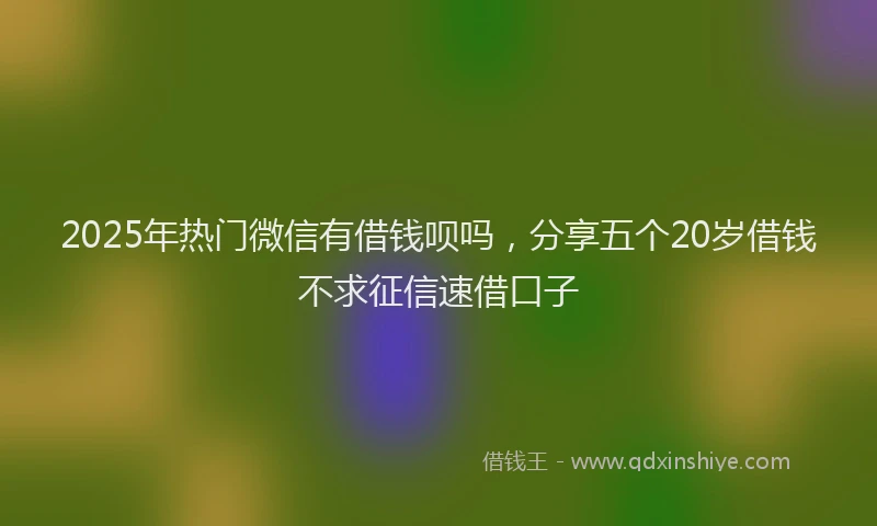 2025年热门微信有借钱呗吗，分享五个20岁借钱不求征信速借口子