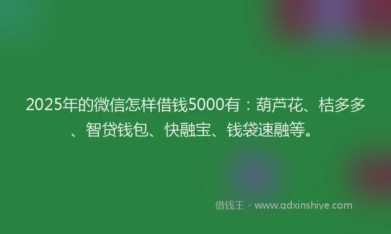 2025年的微信怎样借钱5000有：葫芦花、桔多多、智贷钱包、快融宝、钱袋速融等。