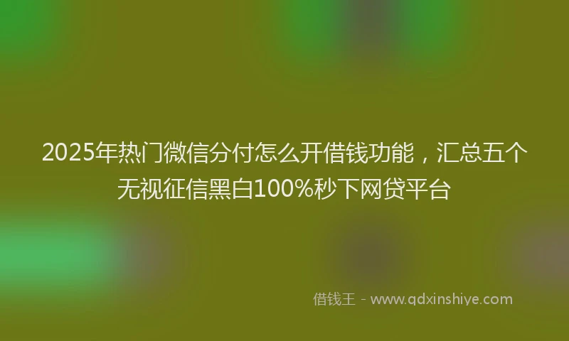 2025年热门微信分付怎么开借钱功能，汇总五个无视征信黑白100%秒下网贷平台