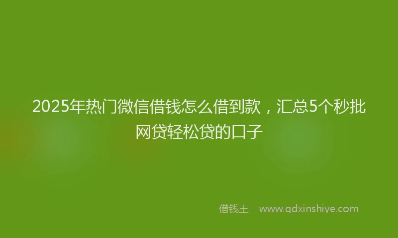 2025年热门微信借钱怎么借到款，汇总5个秒批网贷轻松贷的口子