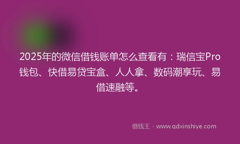 2025年的微信借钱账单怎么查看有：瑞信宝Pro钱包、快借易贷宝盒、人人拿、数码潮享玩、易借速融等。