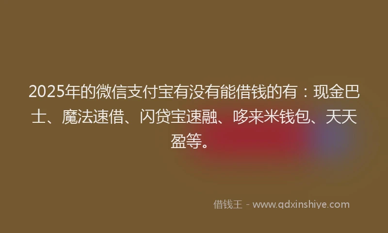2025年的微信支付宝有没有能借钱的有：现金巴士、魔法速借、闪贷宝速融、哆来米钱包、天天盈等。