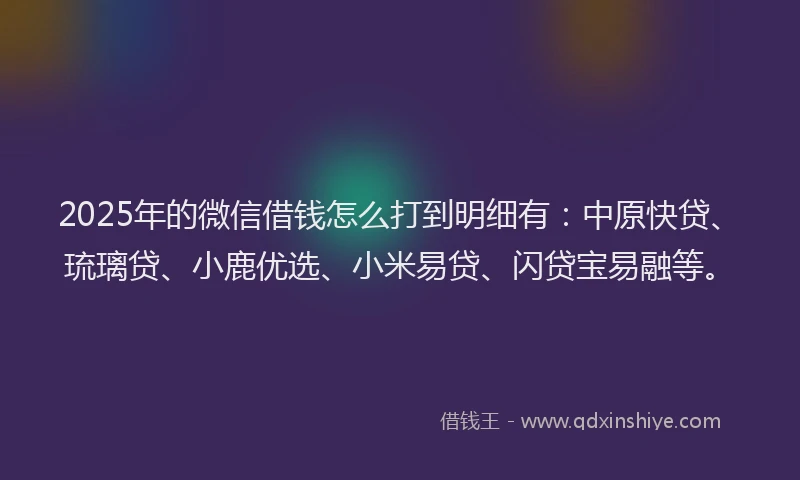 2025年的微信借钱怎么打到明细有：中原快贷、琉璃贷、小鹿优选、小米易贷、闪贷宝易融等。