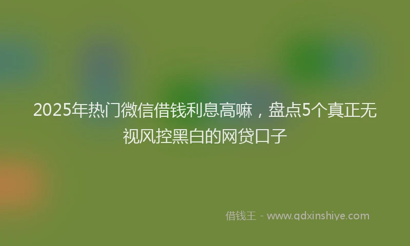 2025年热门微信借钱利息高嘛，盘点5个真正无视风控黑白的网贷口子