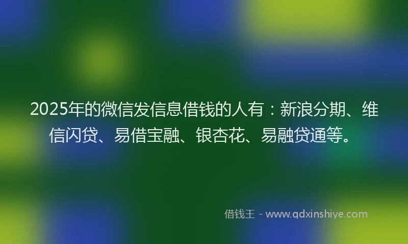 2025年的微信发信息借钱的人有：新浪分期、维信闪贷、易借宝融、银杏花、易融贷通等。